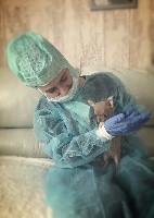 CHIOT Oriana 